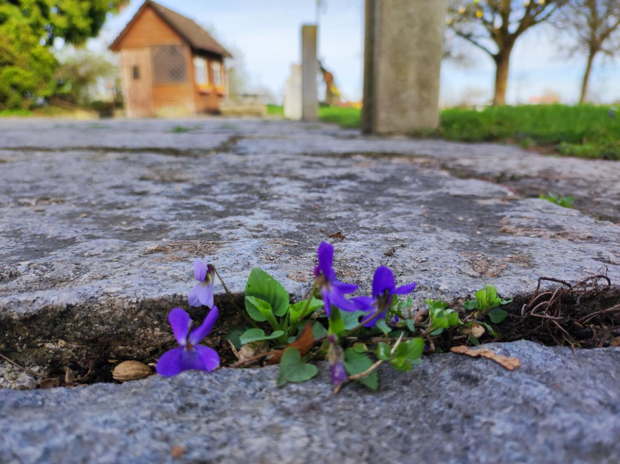 Peterseil'S Radl Zimmer Mauthausen Kültér fotó
